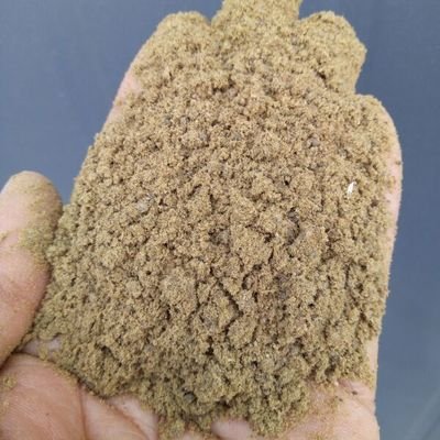 哪種好色先生免费下载設備可以對魚粉進行篩分？